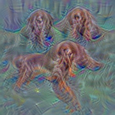 n02100735 English setter